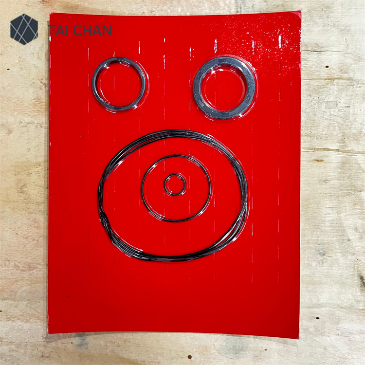 Putzmeister motor seal kit